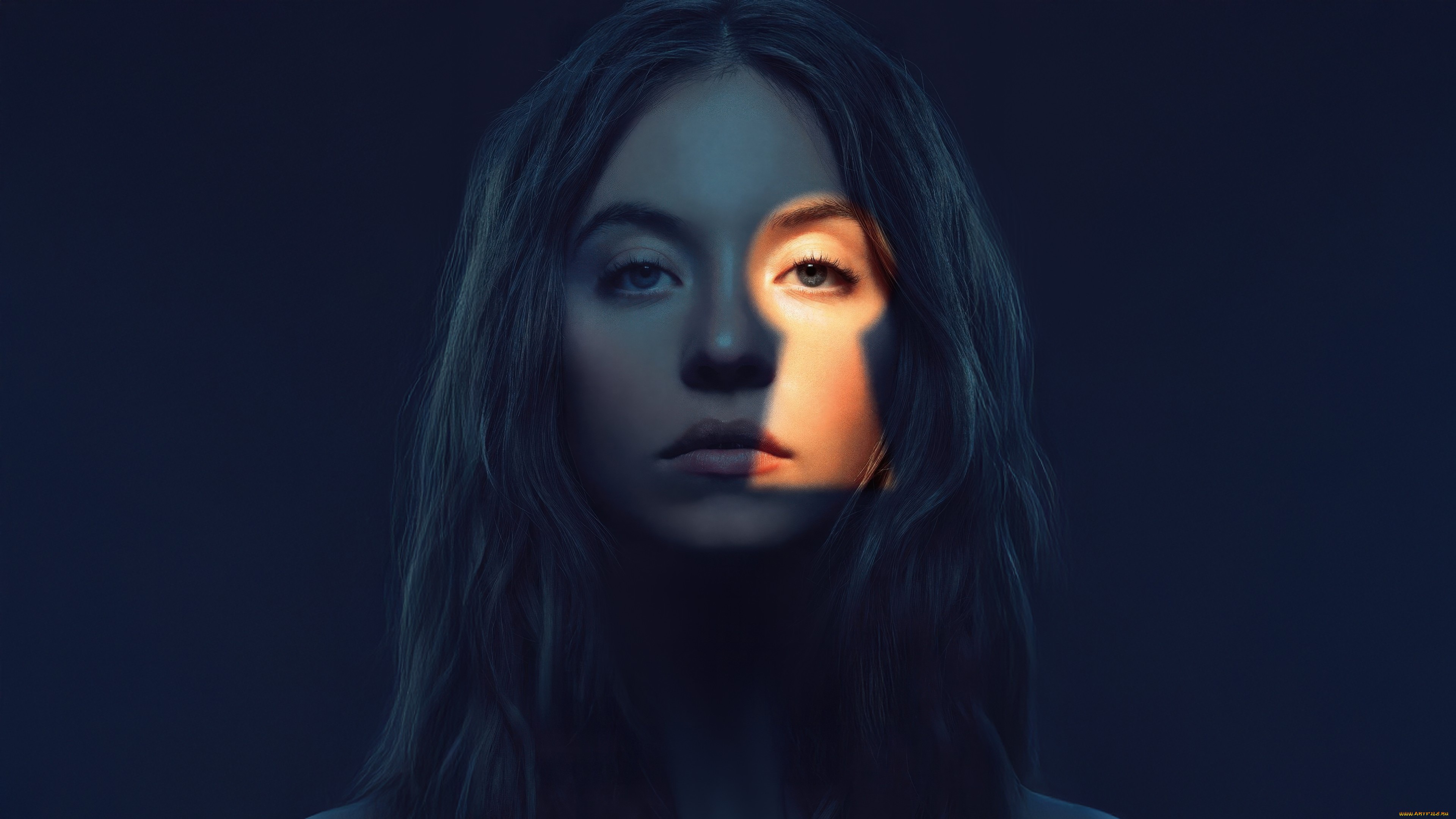 the housemaid,  , sydney, sweeney, millie, the, housemaid, 2025, 